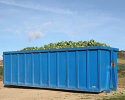 New London Dumpster Rental Prices