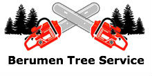 Berumen Tree Service