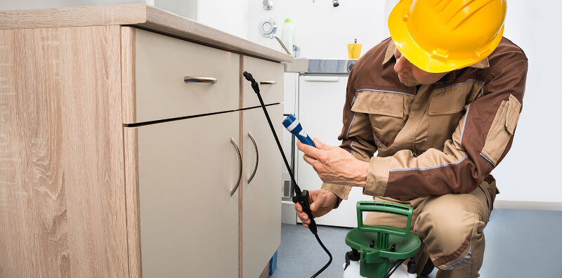 Scipio Center Pest Control