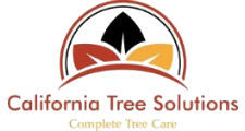 California Tree Solutions