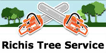 Richis Tree Service