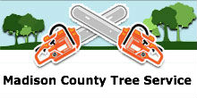 Madison County Tree Service