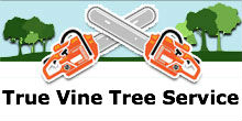 True Vine Tree Service